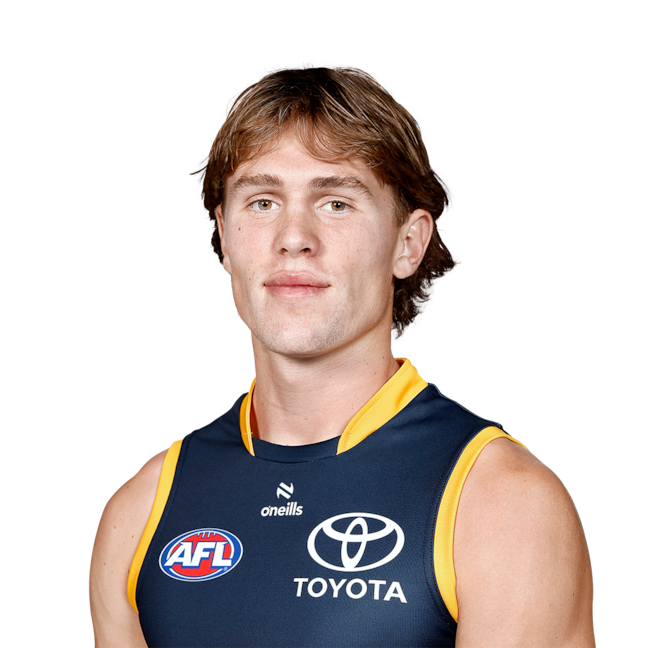 Daniel Curtin profile picture